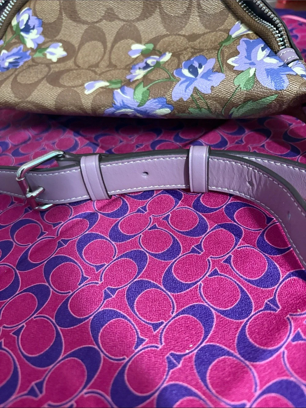 Coach Signature Canvas Lily Print Belt Bag (Style F75701)